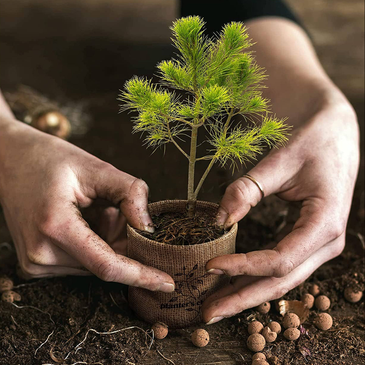 Two hands holding a small tree with 'planter's choice' text on the side.