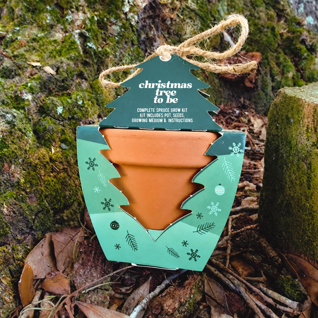 A packaged Christmas tree planter kit sits outdoors on mossy tree bark and fallen leaves. The product is in a tree-shaped box with a cutout showing an orange-brown terracotta pot inside, plus a hanging tag that reads 'HIVE christmas tree to be.