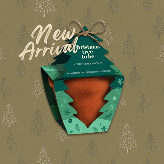 Holiday Spruce Tree Grow Kit | Plant Your Own Mini Christmas Tree Gift Set