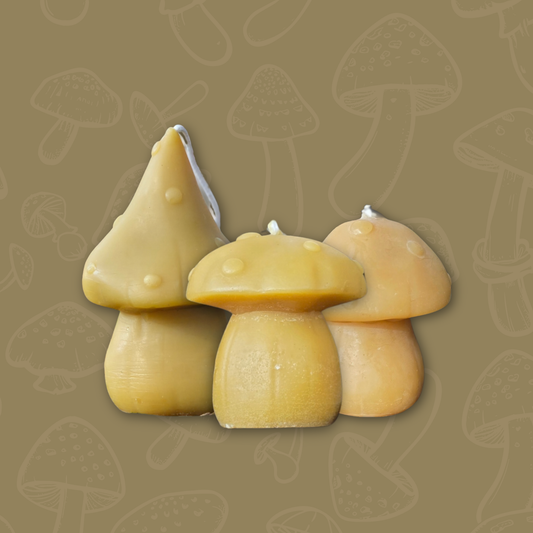 Beeswax | Mushroom Candles