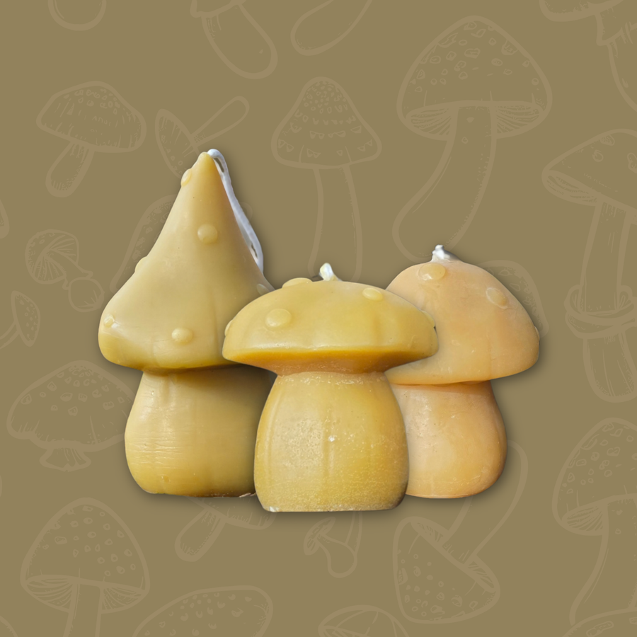 Beeswax | Mushroom Candles